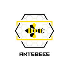 AntsBees